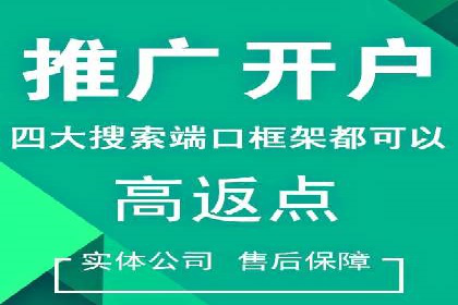 百度广告投放策略优化的经典案例