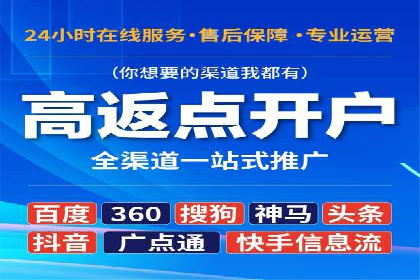 百度竞价广告投放策略：案例分析及效果评估